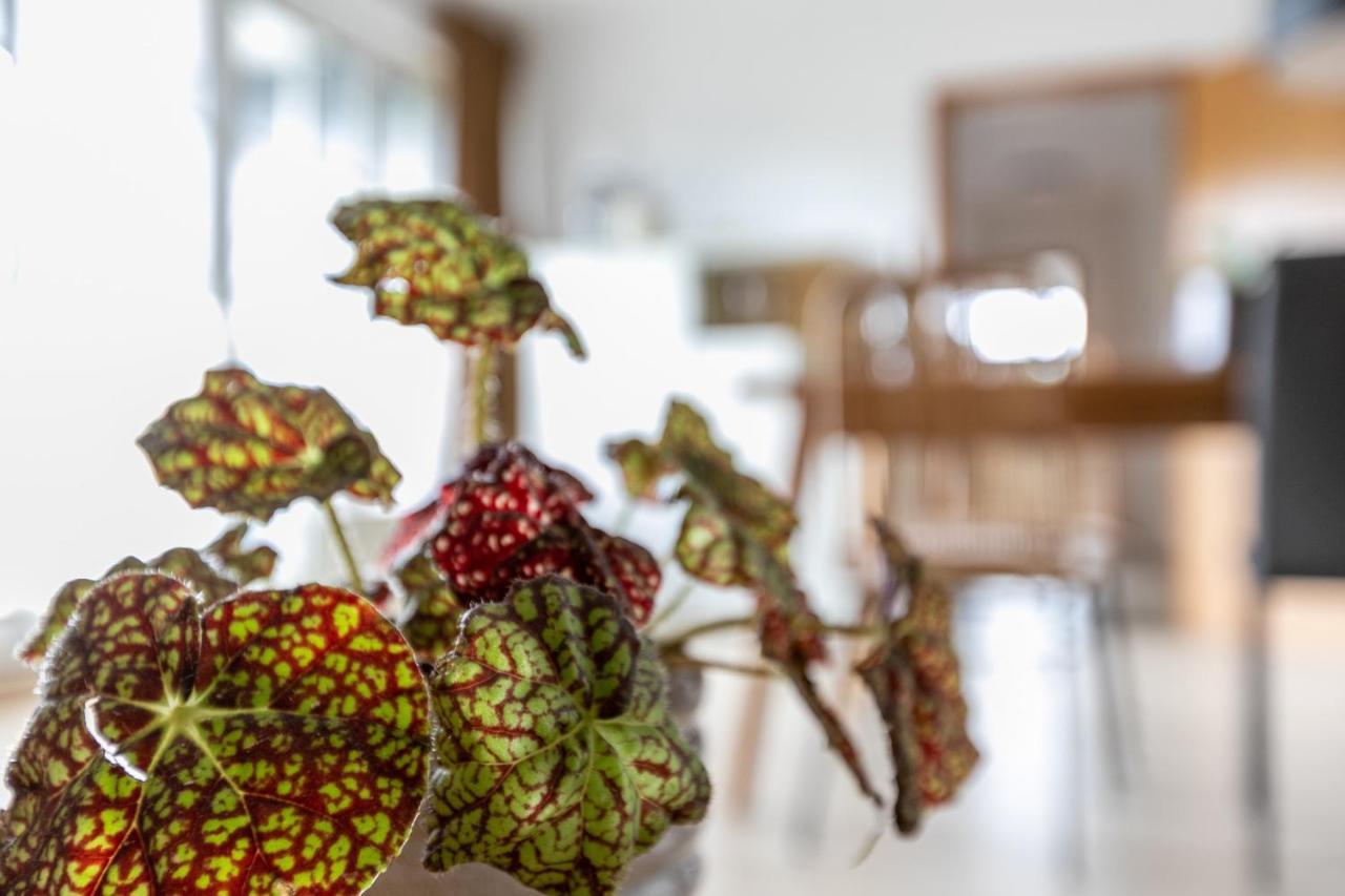 Meeressand Appartamento Sankt Peter-Ording